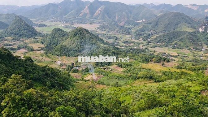 BÁN 1,4HA ĐẤT NGHỈ DƯỠNG CÓ THỔ CƯ TẠI KIM BÔI HOÀ BÌNH SIÊU ĐẸP