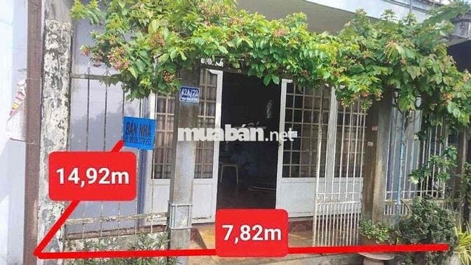 Thanh lý nhà tại hẻm Trần Hưng Đạo, Mỹ Thới, Long Xuyên, An Giang