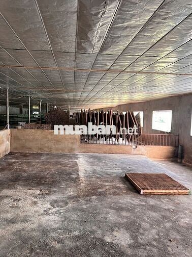 2,9HA BÁM HỒ SÃN TRANG TRẠI LÀM FARM SẠCH SIÊU RẺ TẠI KIM BÔI HOÀ BÌNH