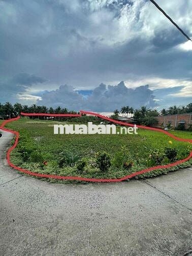 ĐẤT LÚA SỔ HỒNG RIÊNG TẠI GÒ CÔNG TÂY