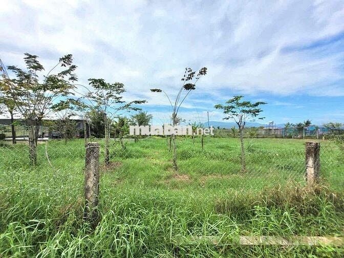 Hai lô đất thổ cư liền kè thích hợp xây nhà vườn, homstay