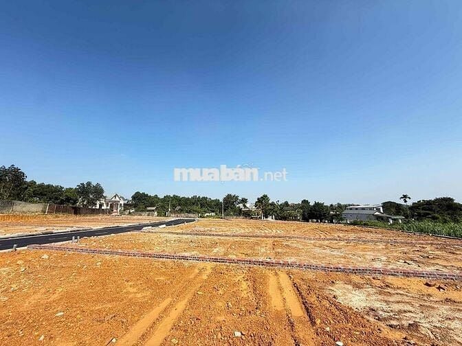 ĐẤT CỦA NHÀ BÁN NHANH 150M FULL THỔ CƯ NỞ HẬU ĐƯỜNG NHỰA YÊN BÀI BA VI