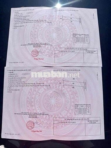 Hai lô đất thổ cư liền kè thích hợp xây nhà vườn, homstay