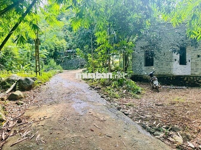 BÁN LÔ ĐẤT NGHỈ DƯỠNG BÊN SUỐI – VĨNH TIẾN, KIM BÔI 1000M GIÁ ĐẦU TƯ