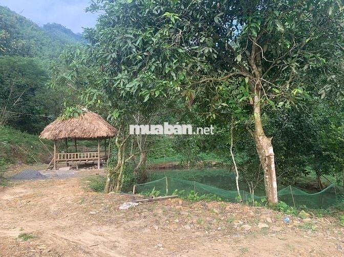 SỞ HỮU NGAY SIÊU PHẨM 7HA NGHỈ DƯỠNG TẠI KIM BÔI HƠN 60KM TỪ HÀ NỘI!