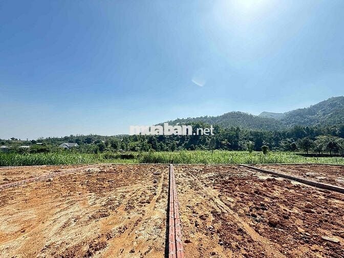 ĐẤT CỦA NHÀ BÁN NHANH 150M FULL THỔ CƯ NỞ HẬU ĐƯỜNG NHỰA YÊN BÀI BA VI