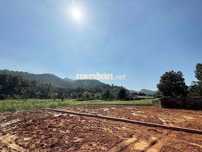 ĐẤT CỦA NHÀ BÁN NHANH 150M FULL THỔ CƯ NỞ HẬU ĐƯỜNG NHỰA YÊN BÀI BA VI