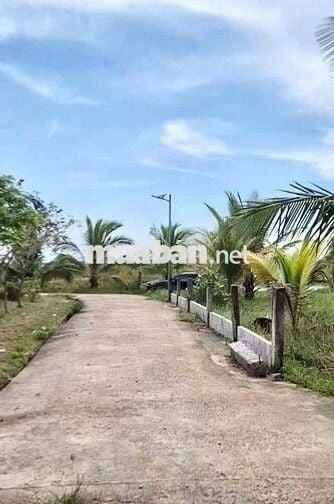 Hai lô đất thổ cư liền kè thích hợp xây nhà vườn, homstay