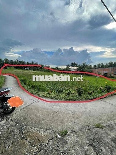 ĐẤT LÚA SỔ HỒNG RIÊNG TẠI GÒ CÔNG TÂY