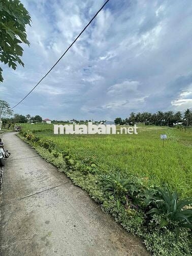 ĐẤT LÚA SỔ HỒNG RIÊNG TẠI GÒ CÔNG TÂY