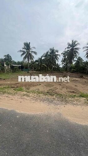 Đất nền 1011m2 cây lâu năm mặt tiền nhựa xã An Ngãi Trung, Ba Tri