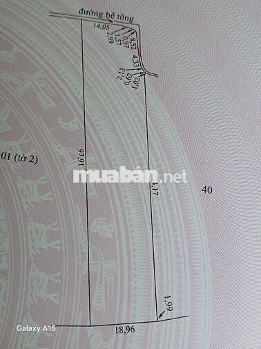 ĐẤT LÚA SỔ HỒNG RIÊNG TẠI GÒ CÔNG TÂY