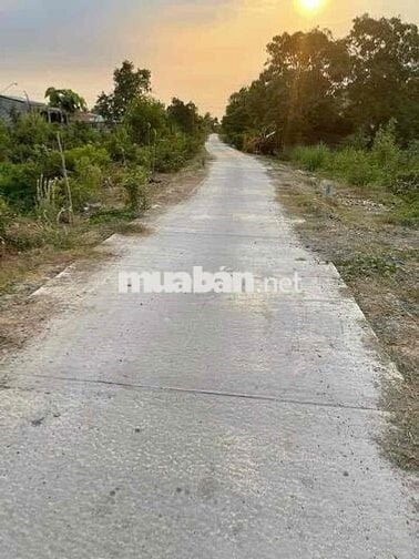 Đất nền 111m2 tại đường ĐT 838, Xã Mỹ Thạnh Bắc, Đức Huệ, Long An, giá