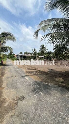 Đất nền 1011m2 cây lâu năm mặt tiền nhựa xã An Ngãi Trung, Ba Tri