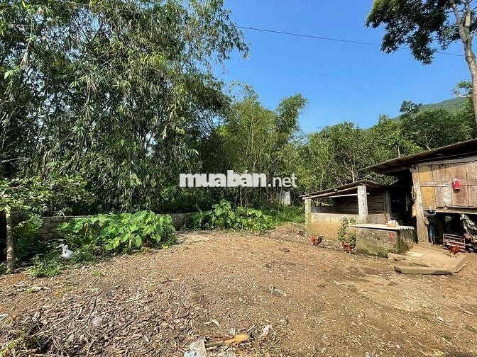 BÁN 2000M BÁM DỰ ÁN SUNGROUP TẠI KIM BÔI HOÀ BÌNH GIÁ ĐẦU TƯ