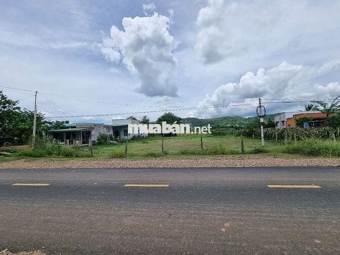 Chính chủ cần bán 2000m2 mặt tiền DT711 có sẵn 500m2 thổ cư