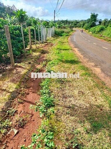 Bán đất mặt tiền đường Quốc lộ 28