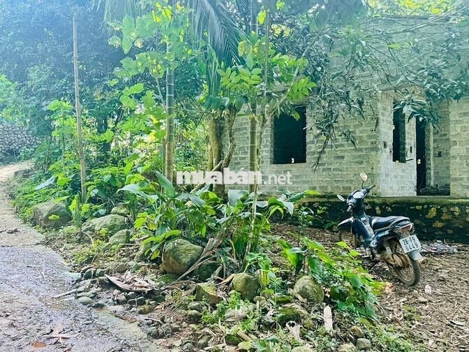 BÁN LÔ ĐẤT NGHỈ DƯỠNG BÊN SUỐI – VĨNH TIẾN, KIM BÔI 1000M GIÁ ĐẦU TƯ