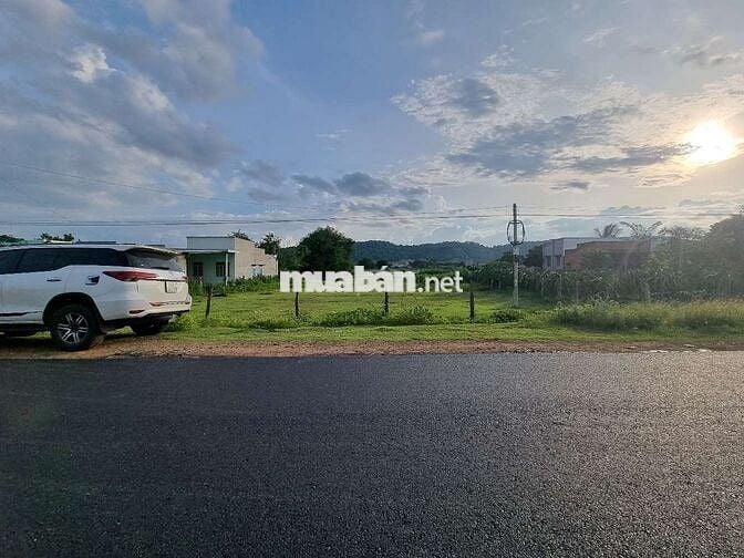 Chính chủ cần bán 2000m2 mặt tiền DT711 có sẵn 500m2 thổ cư