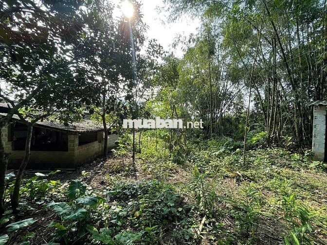 BÁN 2000M BÁM DỰ ÁN SUNGROUP TẠI KIM BÔI HOÀ BÌNH GIÁ ĐẦU TƯ