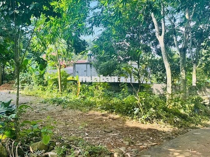 BÁN LÔ ĐẤT NGHỈ DƯỠNG BÊN SUỐI – VĨNH TIẾN, KIM BÔI 1000M GIÁ ĐẦU TƯ