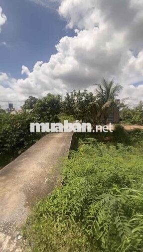 Cần bán đất 1700m2 đã có sẵn 200m2 thổ cư