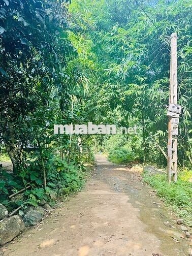 BÁN LÔ ĐẤT NGHỈ DƯỠNG BÊN SUỐI – VĨNH TIẾN, KIM BÔI 1000M GIÁ ĐẦU TƯ