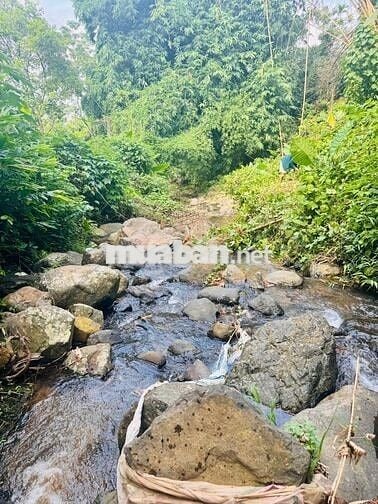 BÁN LÔ ĐẤT NGHỈ DƯỠNG BÊN SUỐI – VĨNH TIẾN, KIM BÔI 1000M GIÁ ĐẦU TƯ