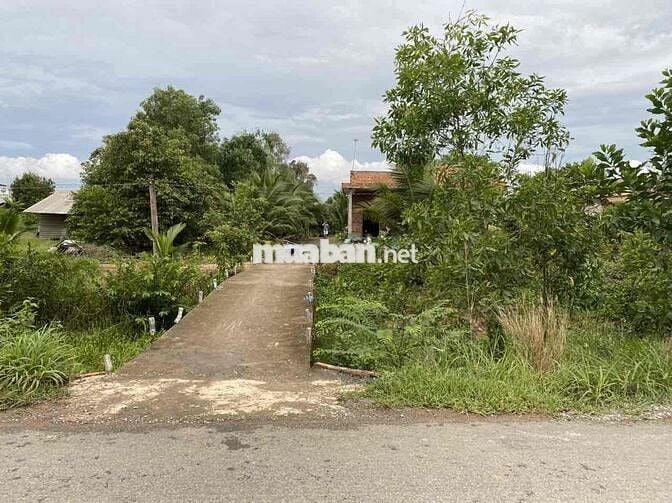 Cần bán đất long an đã lên 200m2 thổ cư có sẵn nhà