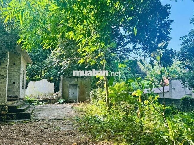 BÁN LÔ ĐẤT NGHỈ DƯỠNG BÊN SUỐI – VĨNH TIẾN, KIM BÔI 1000M GIÁ ĐẦU TƯ