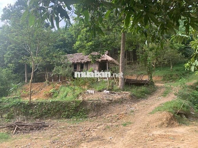 SỞ HỮU NGAY SIÊU PHẨM 7HA NGHỈ DƯỠNG TẠI KIM BÔI HƠN 60KM TỪ HÀ NỘI!