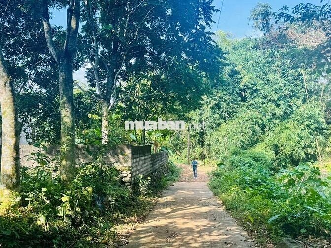 BÁN LÔ ĐẤT NGHỈ DƯỠNG BÊN SUỐI – VĨNH TIẾN, KIM BÔI 1000M GIÁ ĐẦU TƯ