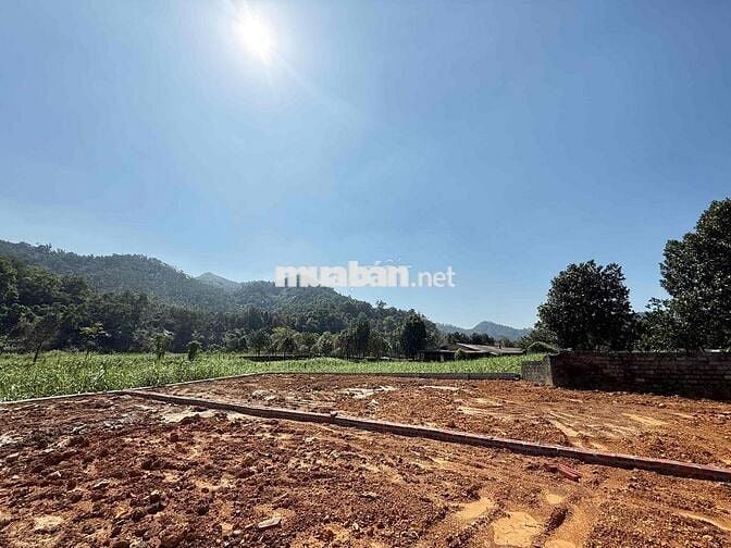 ĐẤT CỦA NHÀ BÁN NHANH 150M FULL THỔ CƯ NỞ HẬU ĐƯỜNG NHỰA YÊN BÀI BA VI