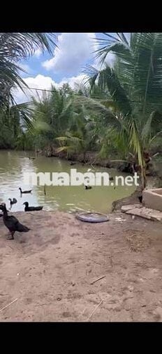 Cần bán đất 1700m2 đã có sẵn 200m2 thổ cư