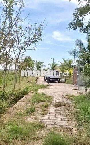 Hai lô đất thổ cư liền kè thích hợp xây nhà vườn, homstay