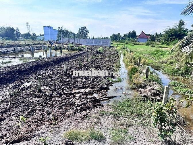 CHÍNH CHỦ CẦN BÁN ĐẤT THỔ CƯ - NGAY SÔNG VÀM CỎ