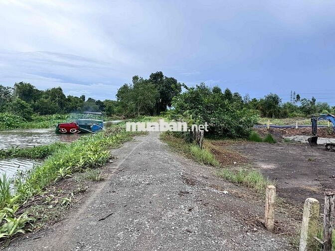 CHÍNH CHỦ CẦN BÁN ĐẤT THỔ CƯ - NGAY SÔNG VÀM CỎ