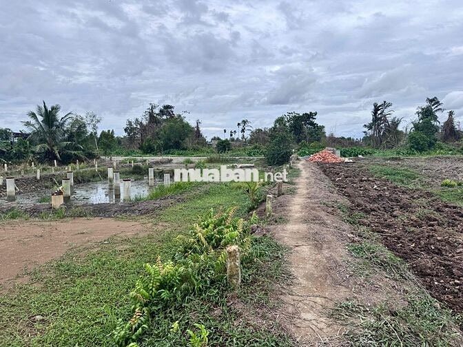 CHÍNH CHỦ CẦN BÁN ĐẤT THỔ CƯ - NGAY SÔNG VÀM CỎ