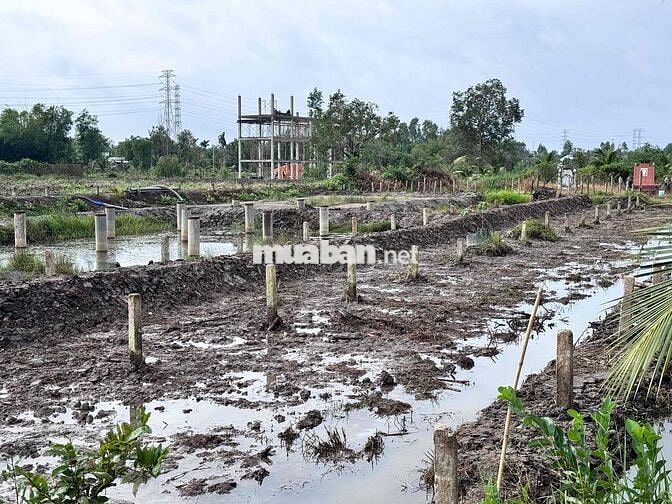 CHÍNH CHỦ CẦN BÁN ĐẤT THỔ CƯ - NGAY SÔNG VÀM CỎ