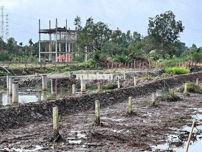 CHÍNH CHỦ CẦN BÁN ĐẤT THỔ CƯ - NGAY SÔNG VÀM CỎ