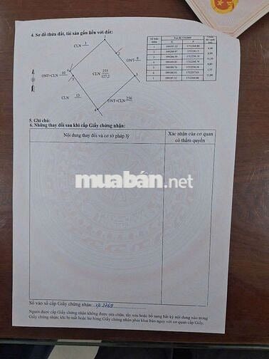 Bán đất thổ cư tam hải sát biển