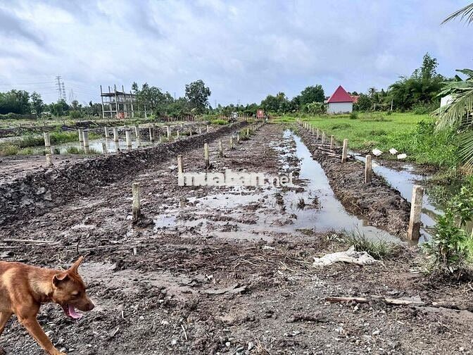 CHÍNH CHỦ CẦN BÁN ĐẤT THỔ CƯ - NGAY SÔNG VÀM CỎ