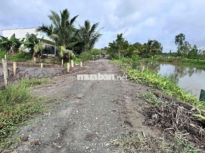 CHÍNH CHỦ CẦN BÁN ĐẤT THỔ CƯ - NGAY SÔNG VÀM CỎ