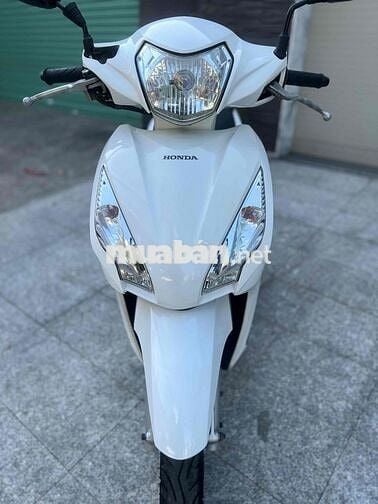 visson zin ken 9 chủ