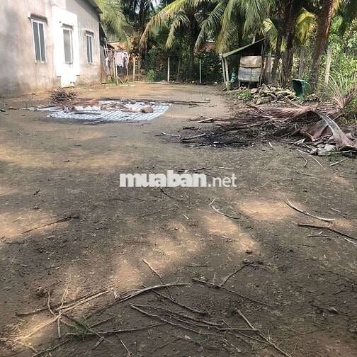 Đất chính chủ đường Mỹ Trang - Nhị Mỹ - Tx. Cai Lậy - Tiềng Giang