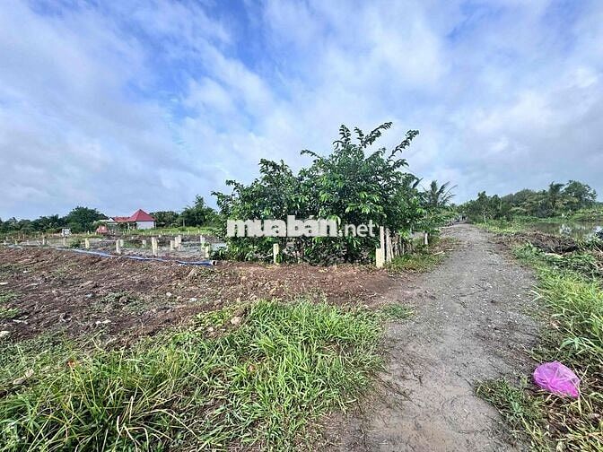 CHÍNH CHỦ CẦN BÁN ĐẤT THỔ CƯ - NGAY SÔNG VÀM CỎ
