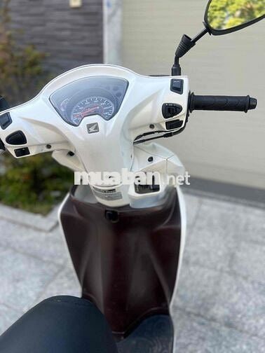 visson zin ken 9 chủ