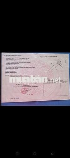 Bán đất đường ấp 8 Lọc Điền Lọc Ninh Bình Phước, 1050M2 giá 600 triệu