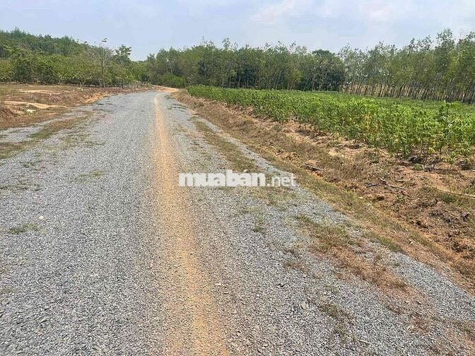 Bán đất Xã Lộc Thành, tỉnh Đồng Nai (Lộc Ninh Bình Phước cũ)