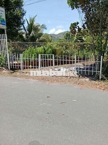 🌊 ĐẤT BIỂN PHƯỚC HẢI – GẦN BÃI TẮM
📍 Gần trục A5 – View núi Minh Đạm